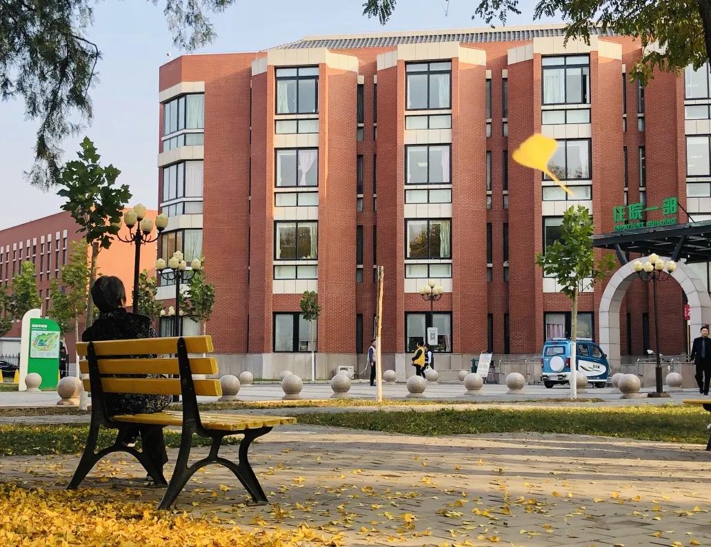 在这里享有阳光尊重关爱和希望——在北京老年医院沉浸式体验有感