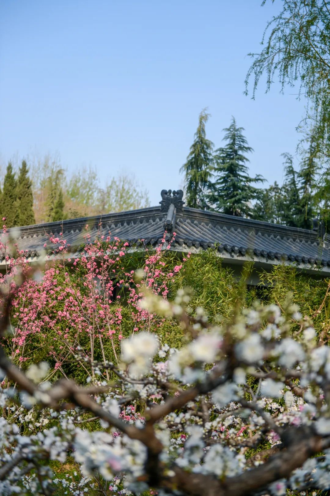 济南最火的几个网红景点打卡,济南网红打卡点景点