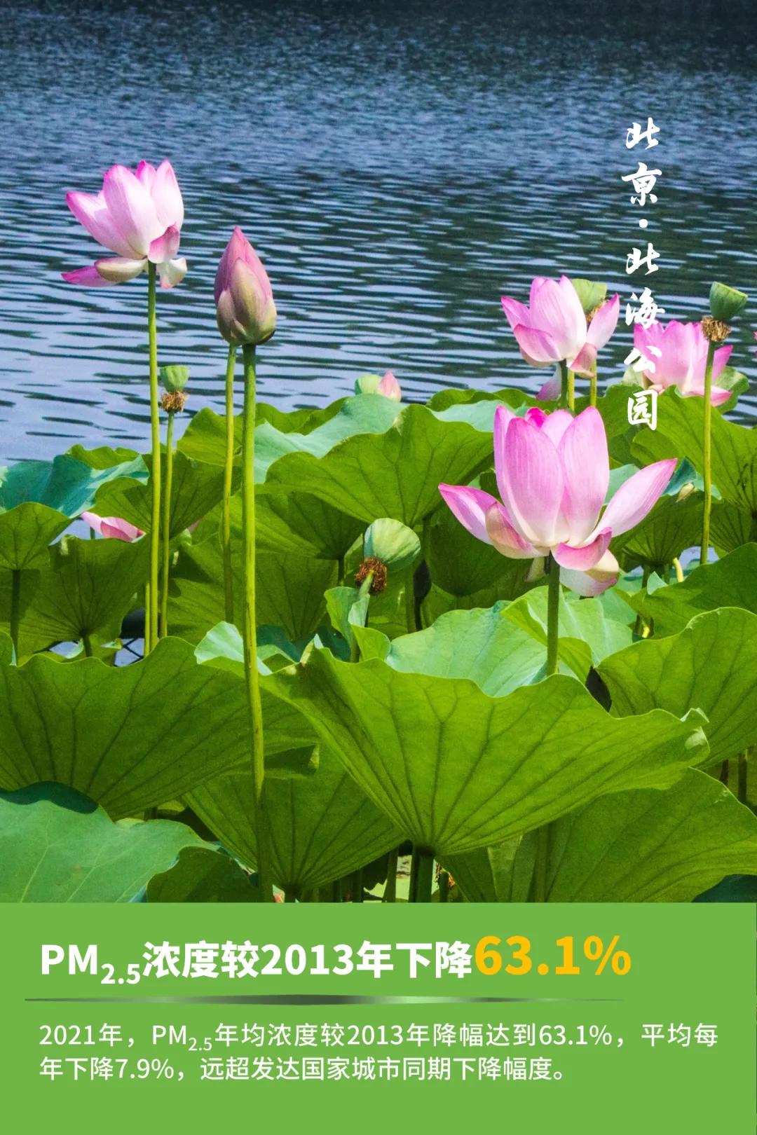 为什么北京的空气质量这么好,这样的北京你还愿意来吗