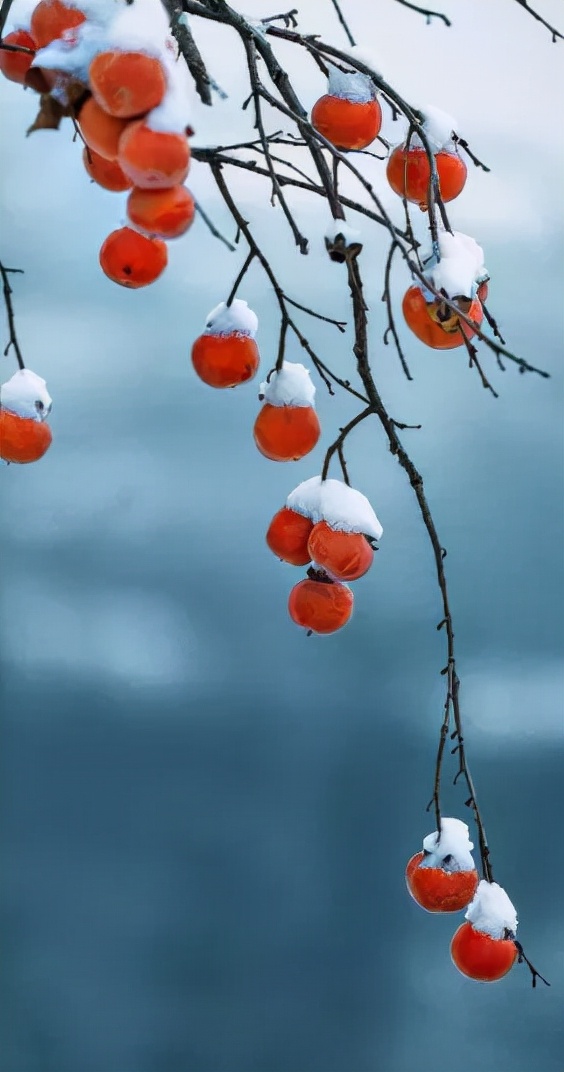 入冬必喝的八种养生汤,驱寒保暖喝什么好推荐3款养生汤