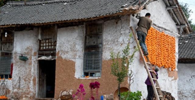 妻子被丈夫骗走千万财产,彩礼被男方拿走离婚后能要回来吗