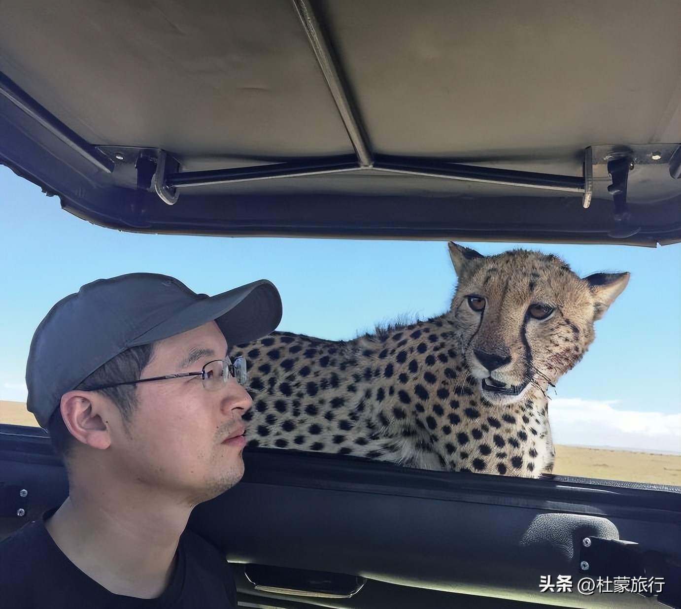 跟随“中国狮子王”，到坦桑看绝色非洲