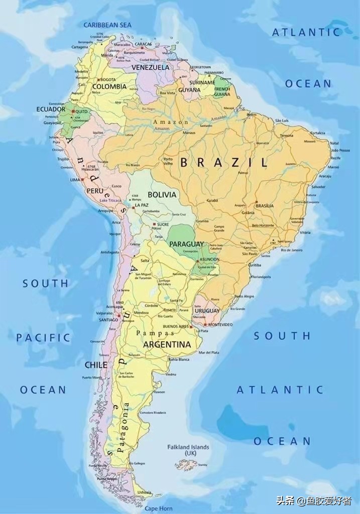 鱼胶全球产地分布图,买鱼胶哪些产地最正宗