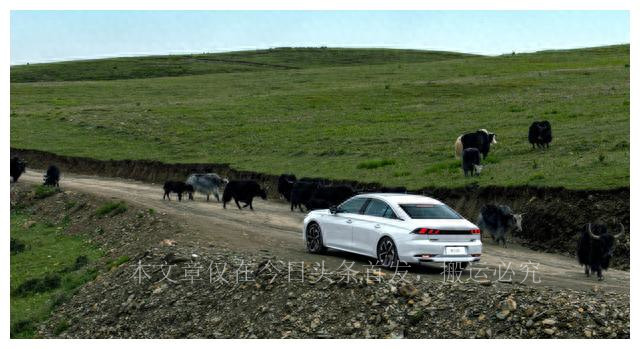 22款标致508l激情版沉浸体验,全新东风标致508l空间评测