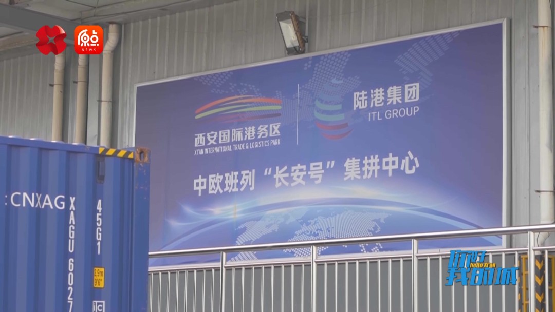 你好我的城西安完整版,你好我的城在线观看