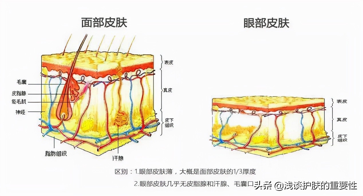 眼纹明显皮肤松弛显老,眼纹显老怎么办