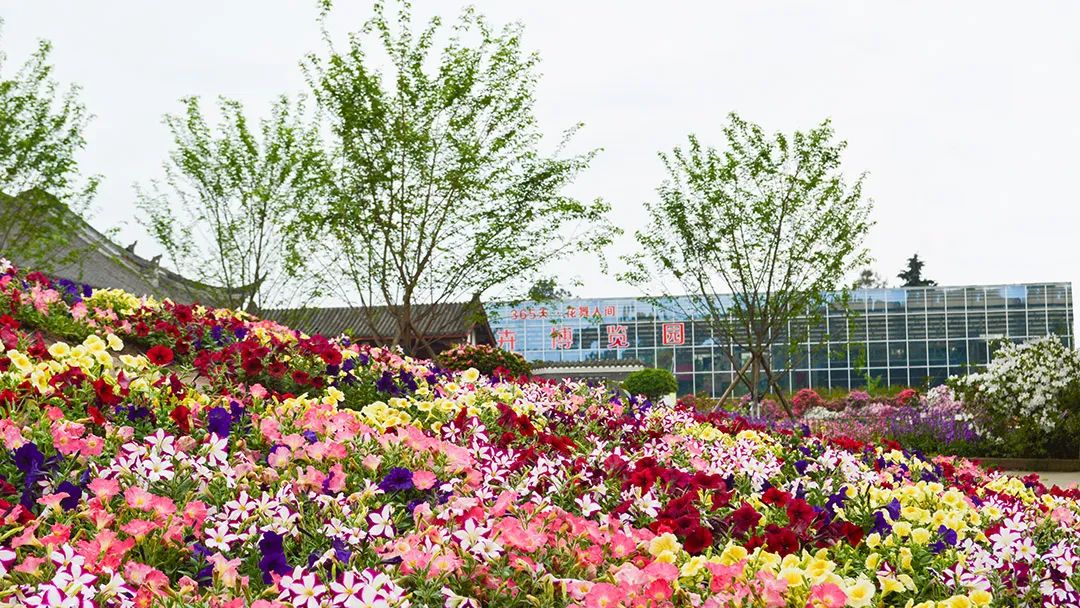 花卡特惠,新春钜惠不容错过