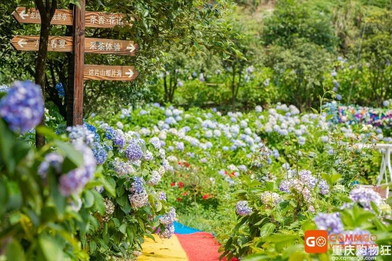 小长假旅游景点大全,夏季周边旅游美食之旅