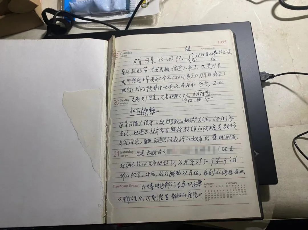 金晓宇百科简介,金晓宇事件概括