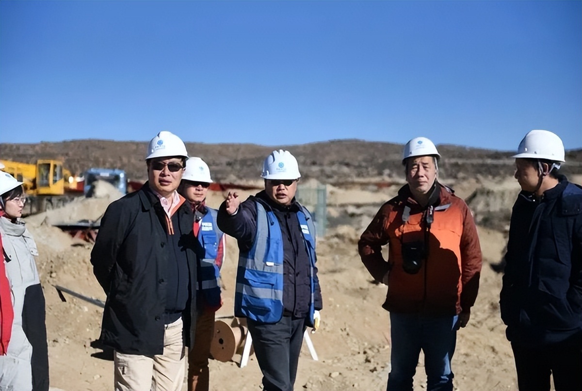 高山上的采药人,高山上的鸟类