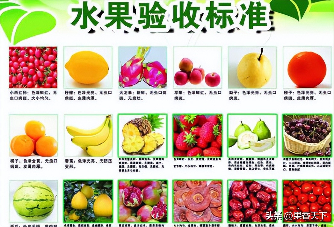 水果价格大幅度上涨的真相,为什么最近水果价格一直涨价