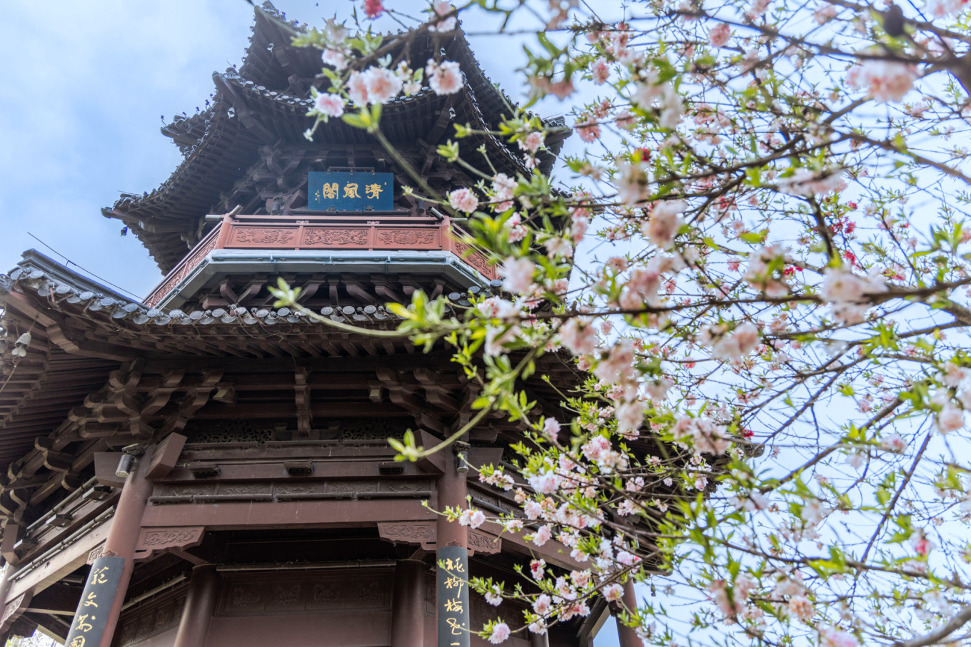 春日下江南杭州,春日下江南古镇