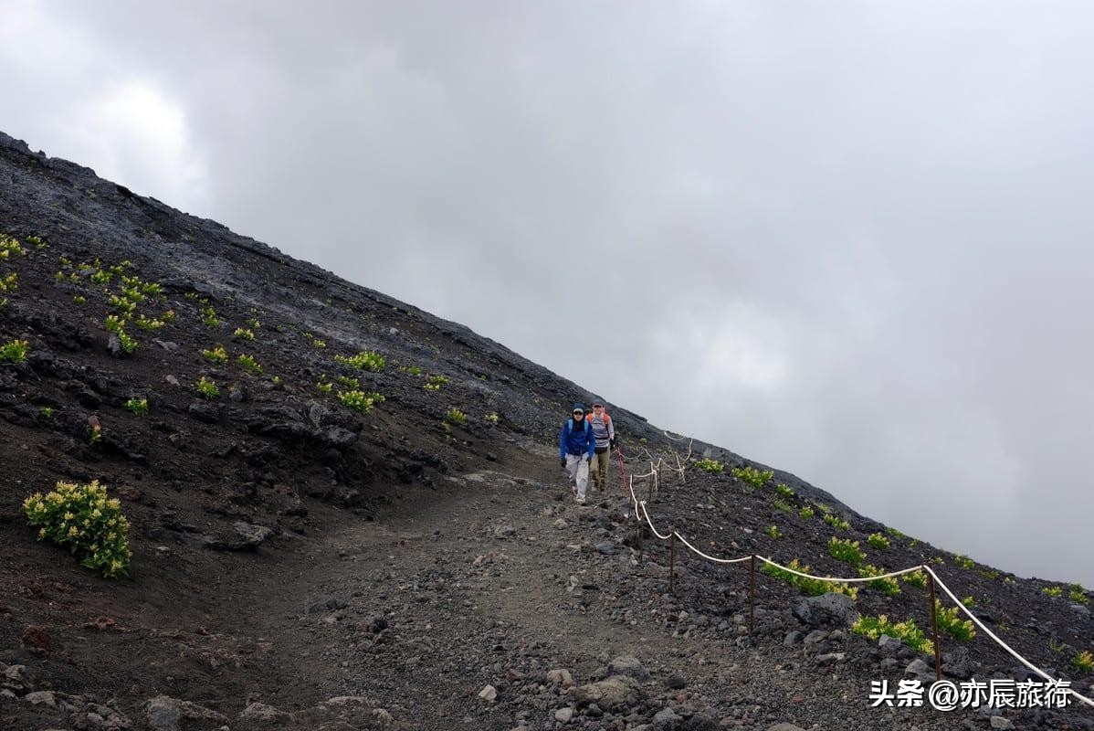 日本富士山樱花季旅游,日本富士山樱花风景