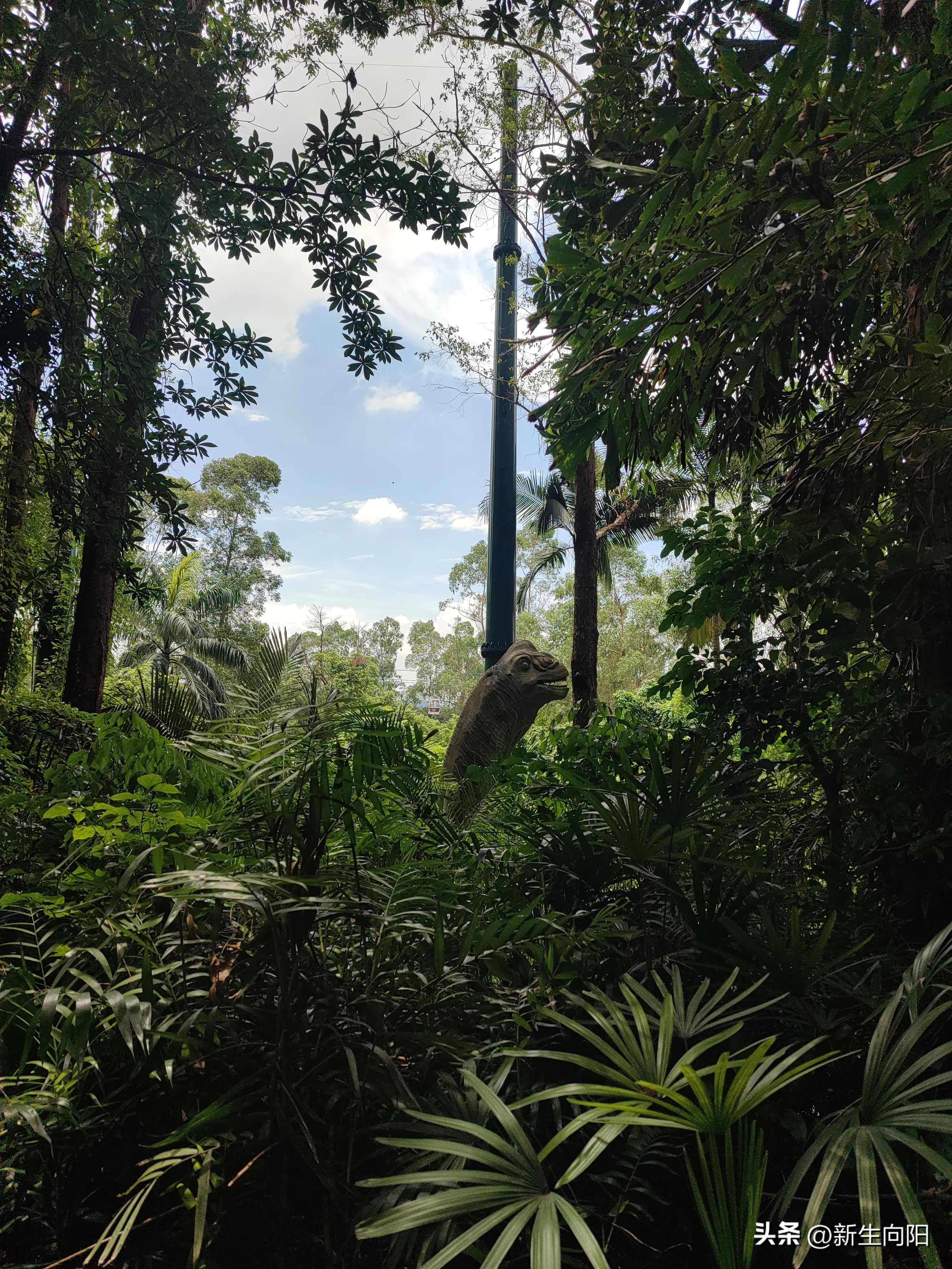长隆野生动物园两大一小,长隆野生动物园一家三口
