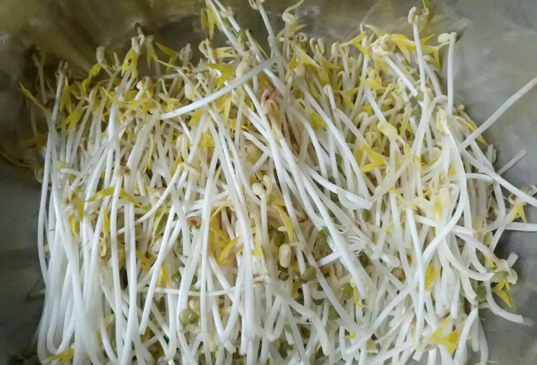 小暑节气过后注意什么,小暑节气饮食注意事项