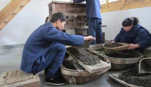 陆羽茶交所分享｜拍蒜何须用刀？这7种黑茶，能拍蒜，还能拍人