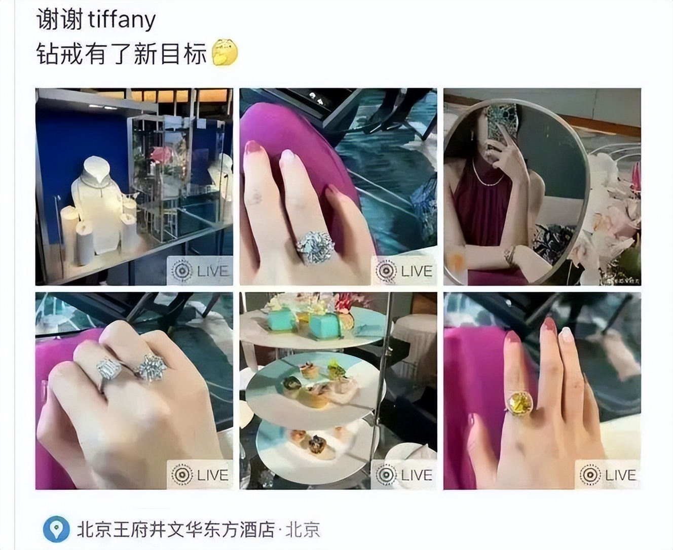 鐗垫墜闂ㄨ懀灏忓浠嬬粛,鐗垫墜闂ㄨ懀灏忓鍏ㄥ悕