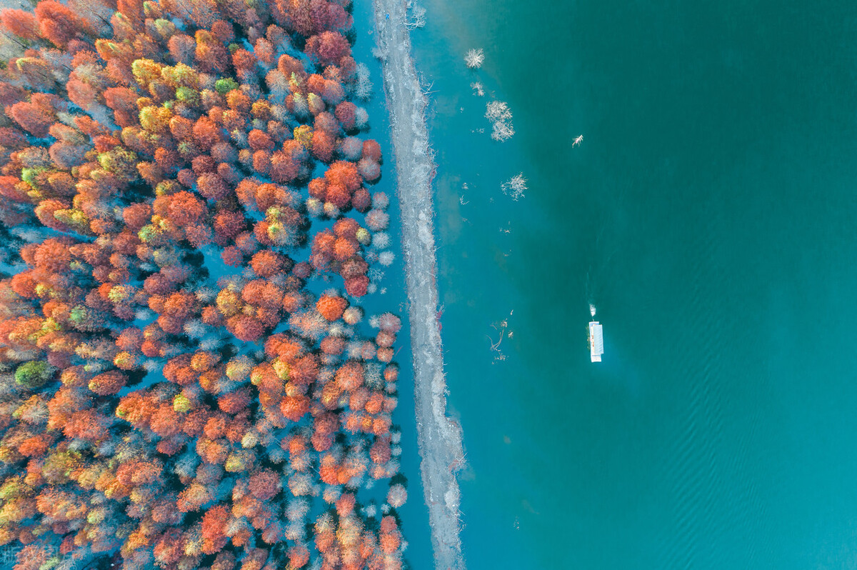 1-11月安徽新开工水利项目数量,安徽最新水利重点工程