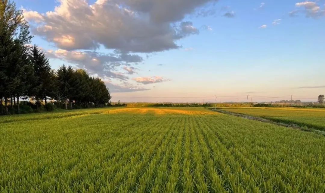 整村运营,整村运营顶层策划