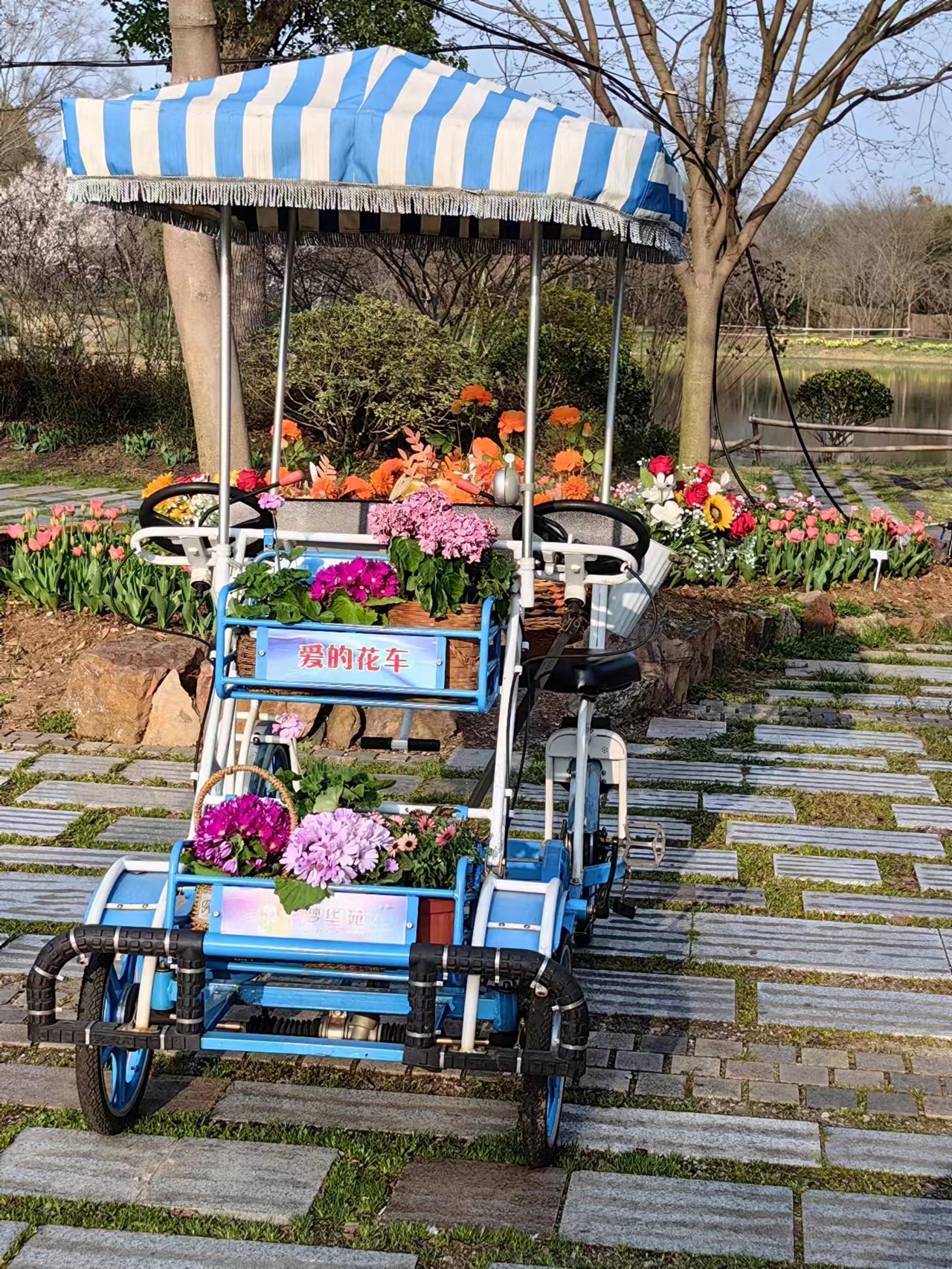 溧水梦华苑一日游,溧水三叶梦华苑还是郭兴庄园好玩