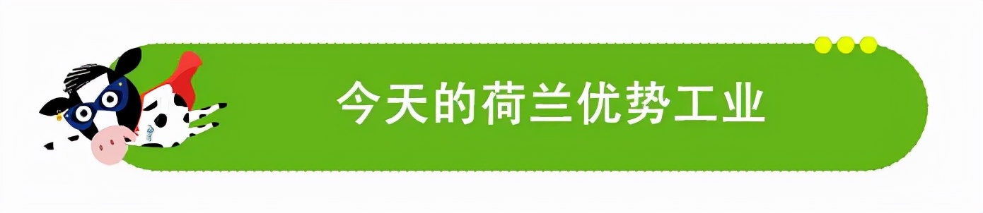 荷兰有风车郁金香还有啥,荷兰的郁金香花田和风车