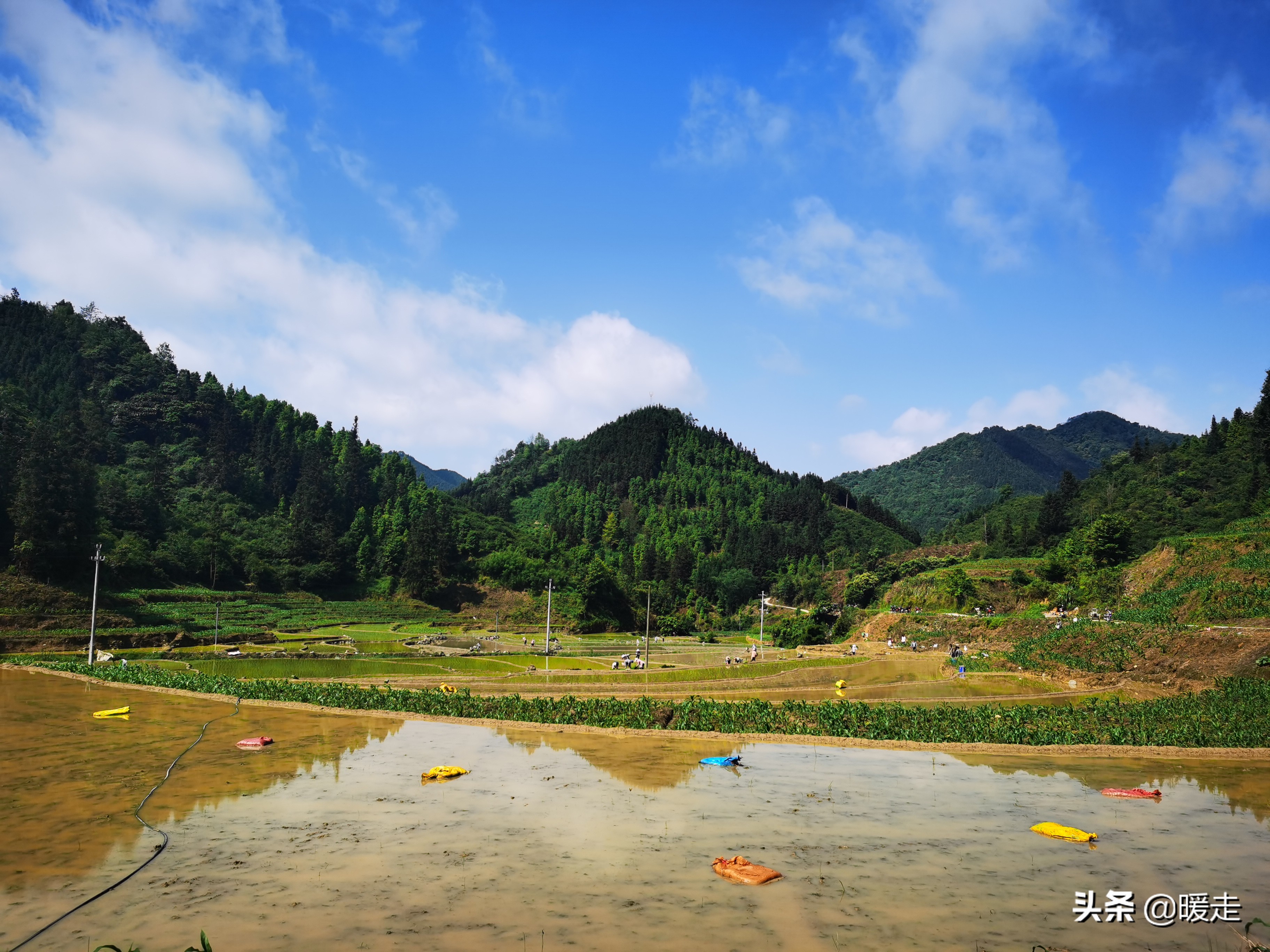 广西农民种田,乡村种田的生活视频