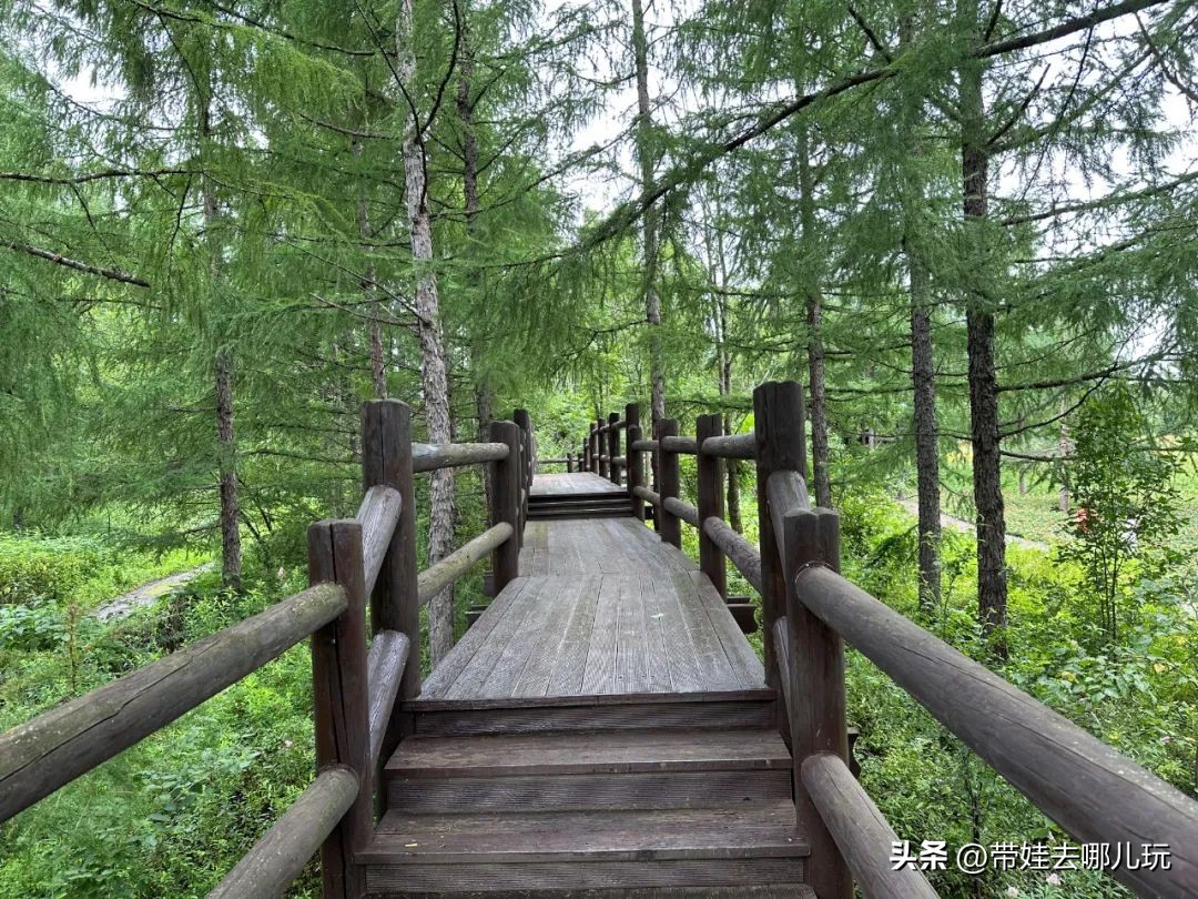 长白山二道白河旅游攻略7月游,自驾二道白河长白山旅游攻略