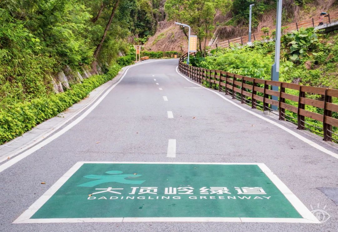 深圳九条最美绿道图片,这些深圳绿道骑出你的美