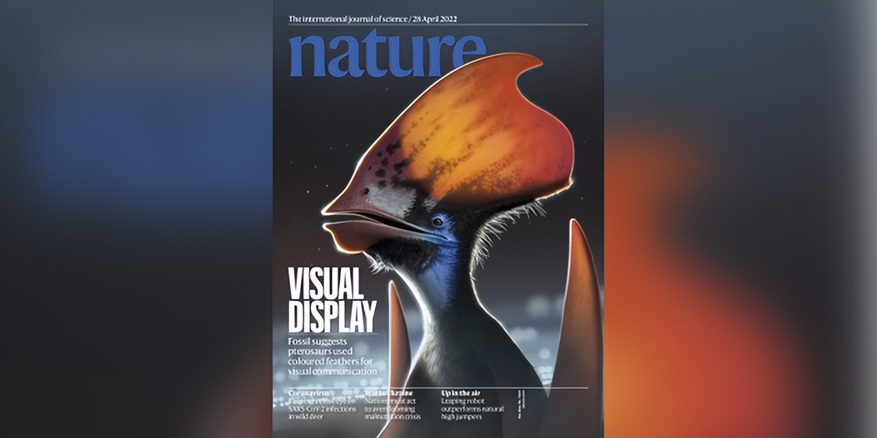 nature最新生物学成果,nature重大发现