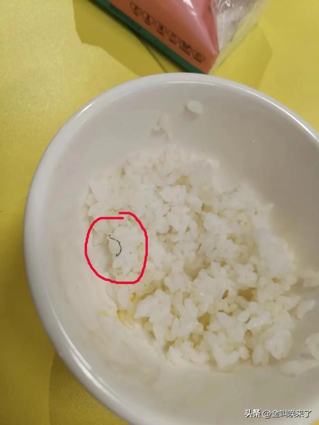 形象碎了一地!“啤酒大王”成都公司的食堂火了