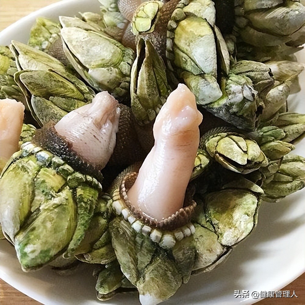 海鲜贝类品种大全及名字,22种海鲜贝类做法大全