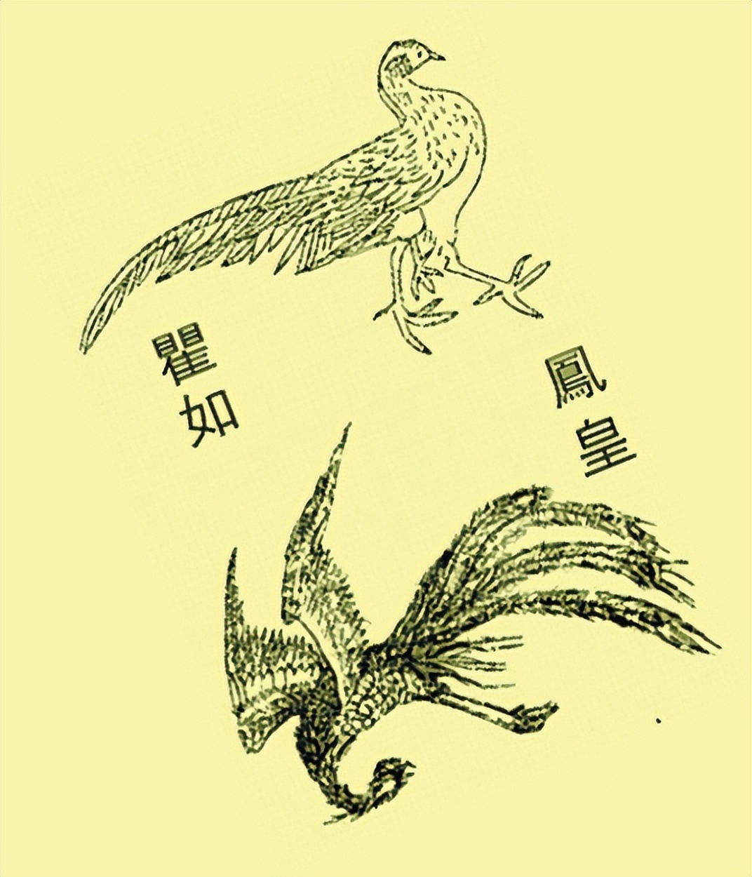 妖怪名单最强排行榜,中国妖怪简介大全