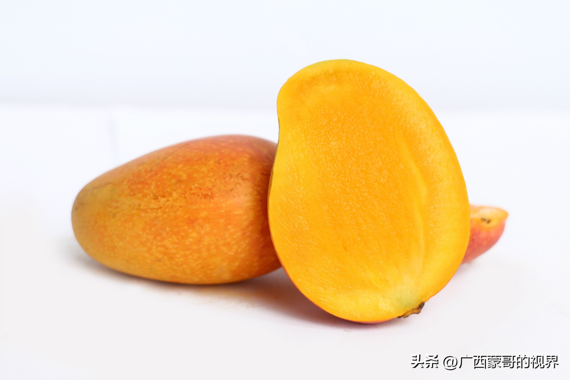 广西古代十大贡品,古代广东十大贡品