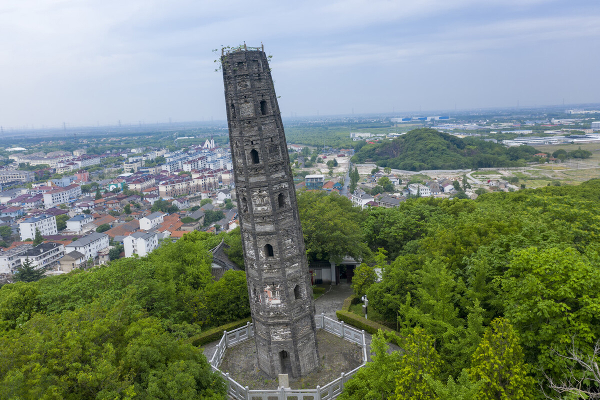 上海海湾国家森林公园在什么地方,上海国家森林公园有几个