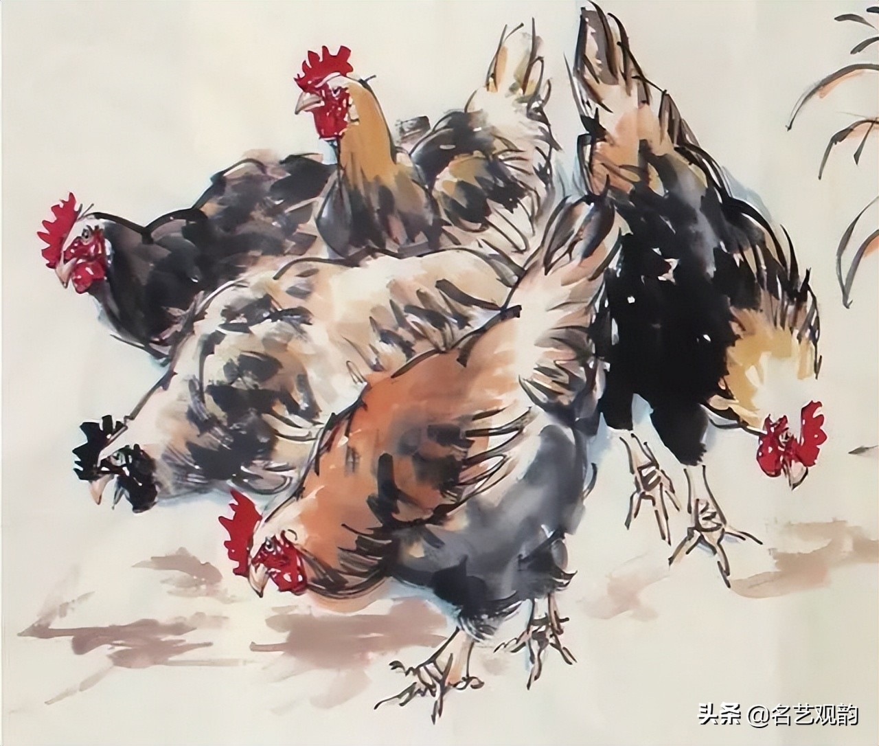 十二生肖鸡画法步骤,鸡的画法简笔画步骤