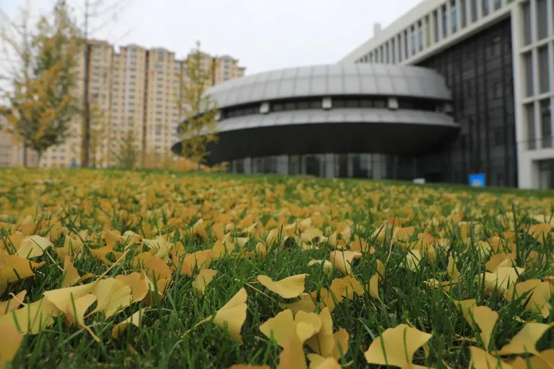 北京市通州区运河中学：铺就青年教师成长坦途