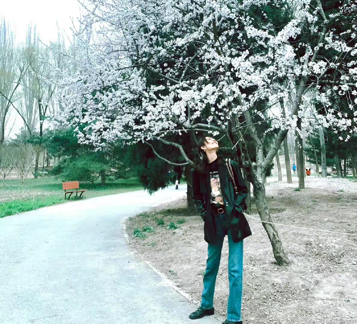 刘雯夏日港风,刘雯夏日港风大片