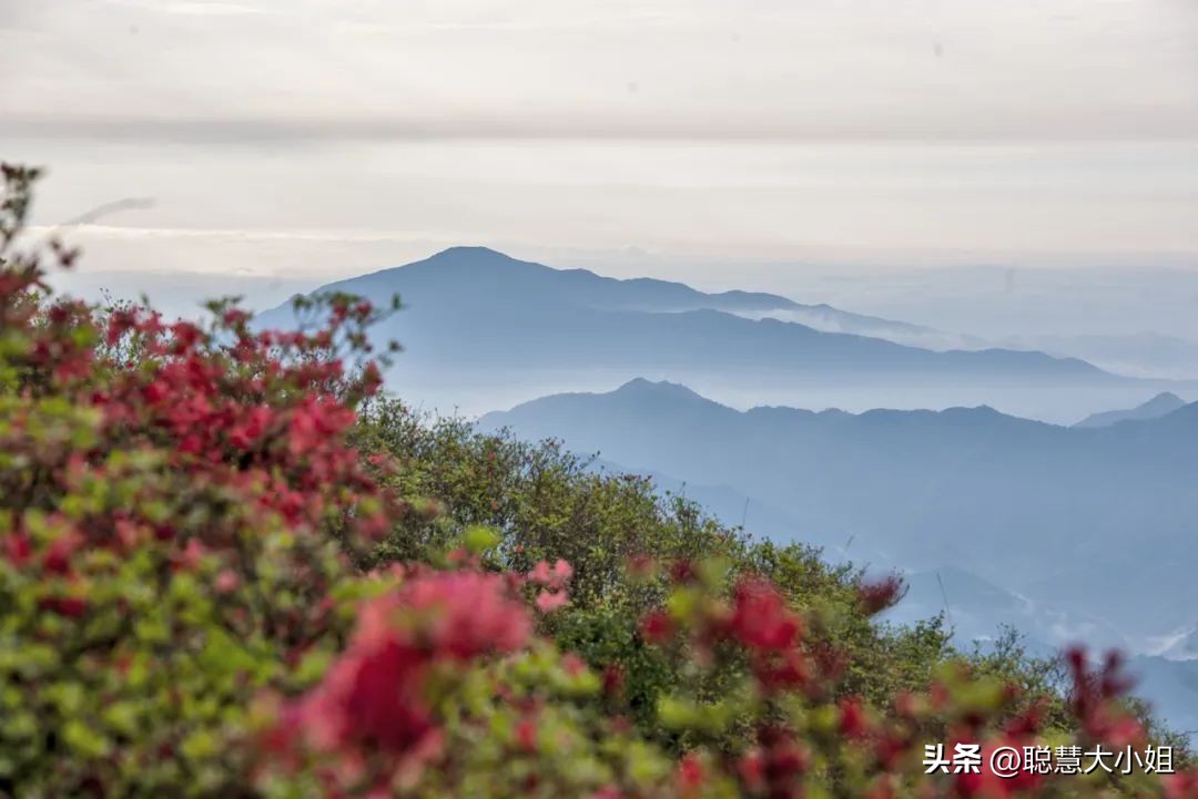 一场烟花登顶热搜！满城美食火成顶流，这座夏日小城太宝藏了！