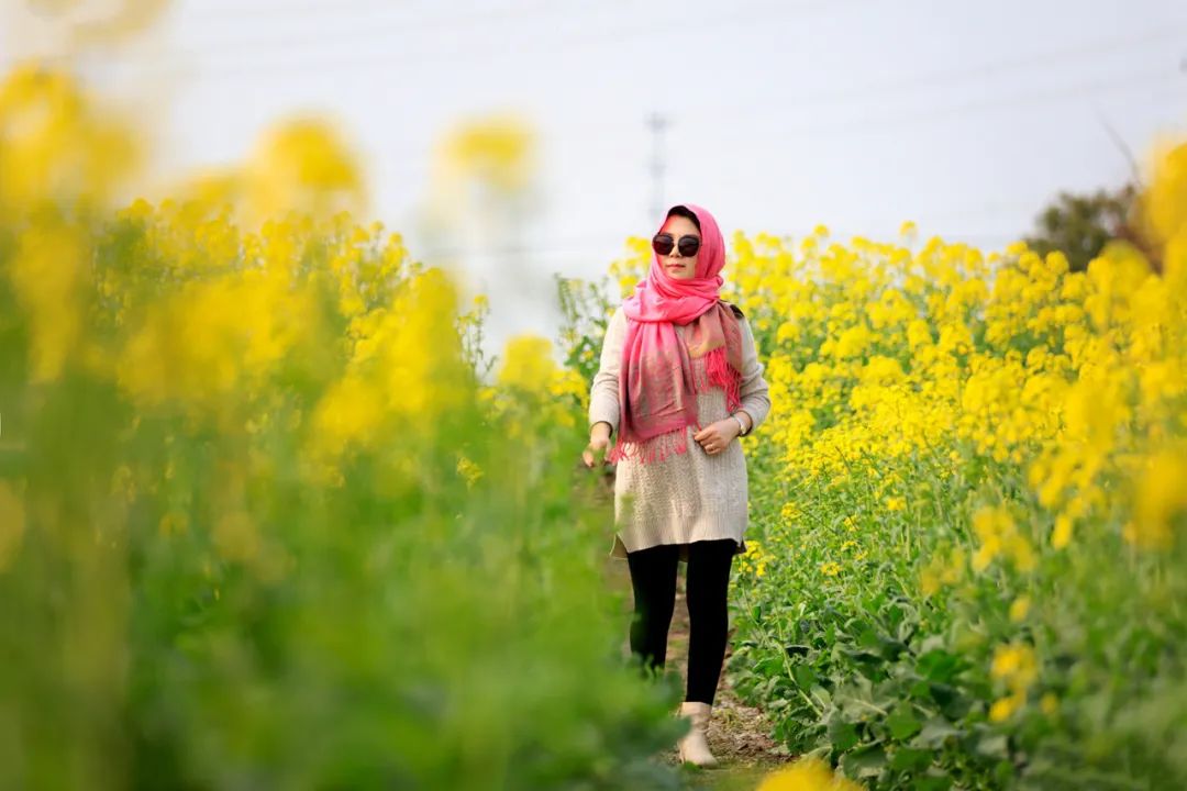 70-2002.8镜头尺寸,70-2002.8长焦镜头