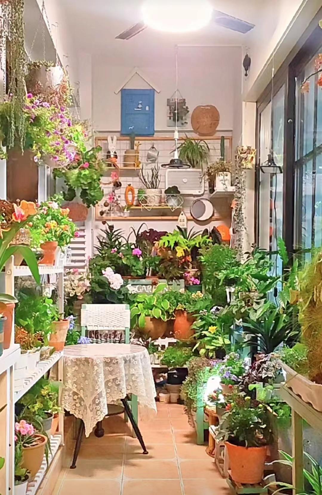 养花什么花是喜酸的,喜酸的花怎么养