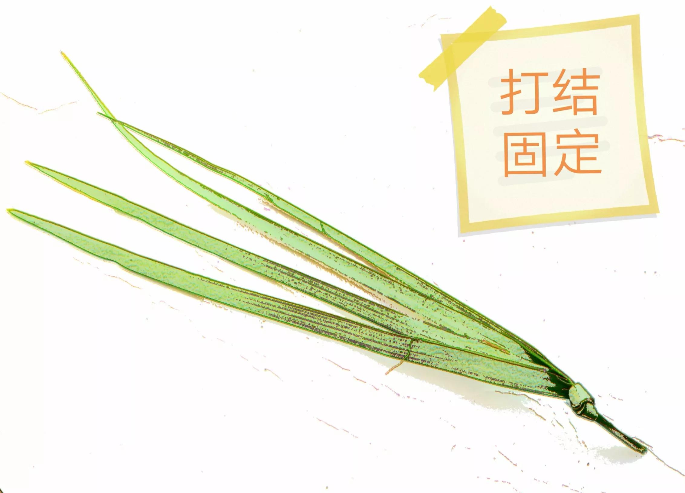 这样的小蜂窝，是不是也唤醒了你的童年记忆？