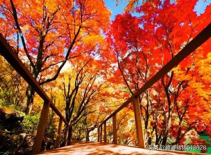 冬日人生感慨十二首,冬日感言七绝诗