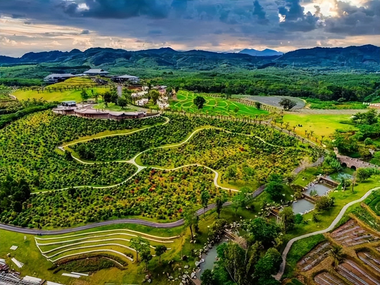 海南2025年封关对农业的影响,海南封关后对农产品影响