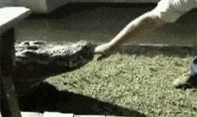 最美丈母娘火了女婿表示也很无奈,最美丈母娘火了女婿表示很无奈