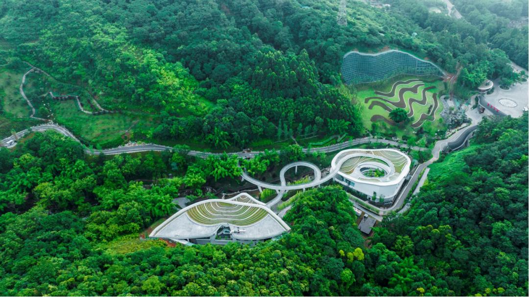 在G318的起点上海，崇州作主题推介：“崇”此出发！