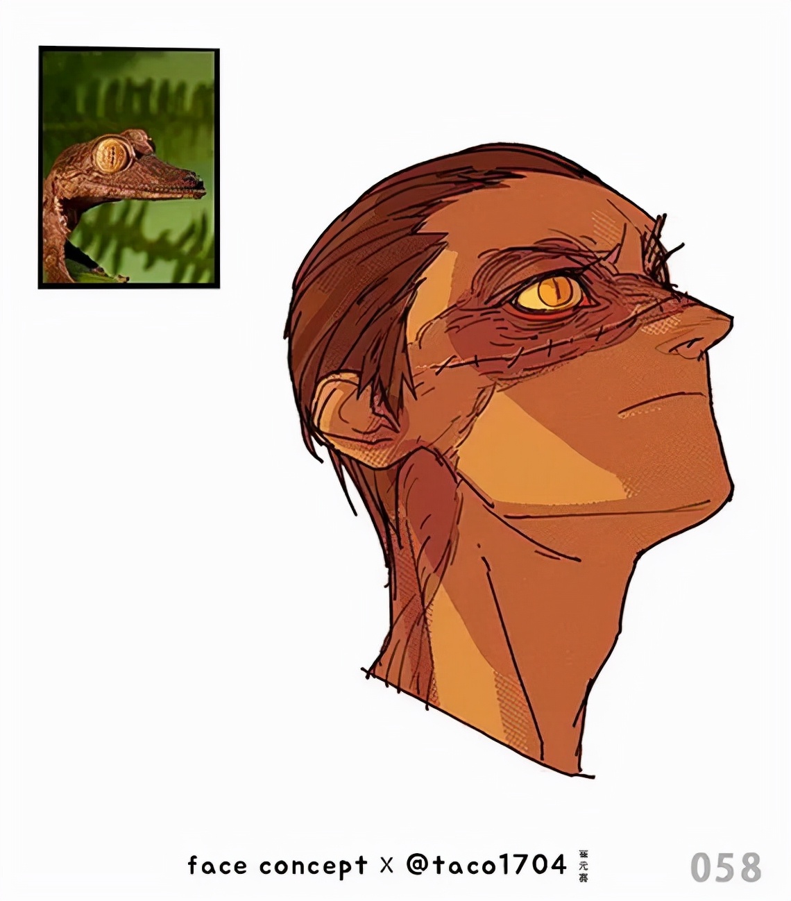 这组拟人头像作品脑洞太大了！就是那位硬核人体教程的画师