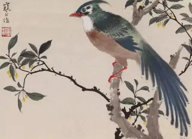 江寒汀写意黑山雀石榴花图,江寒汀写意花鸟千峰竞秀原作尺寸