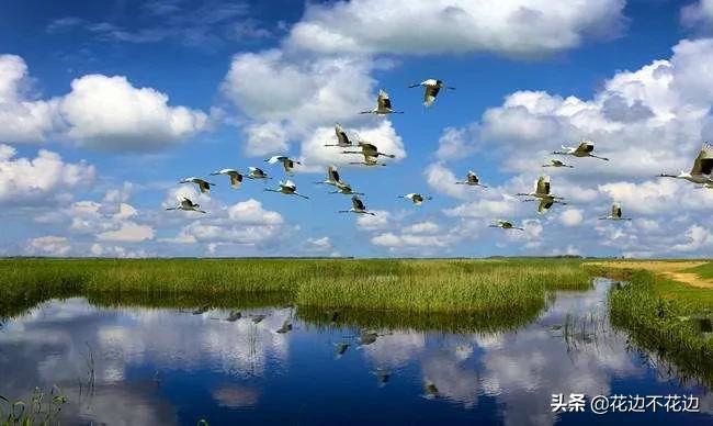 齐齐哈尔曾经当过省会的城市,齐齐哈尔当过黑龙江省会吗