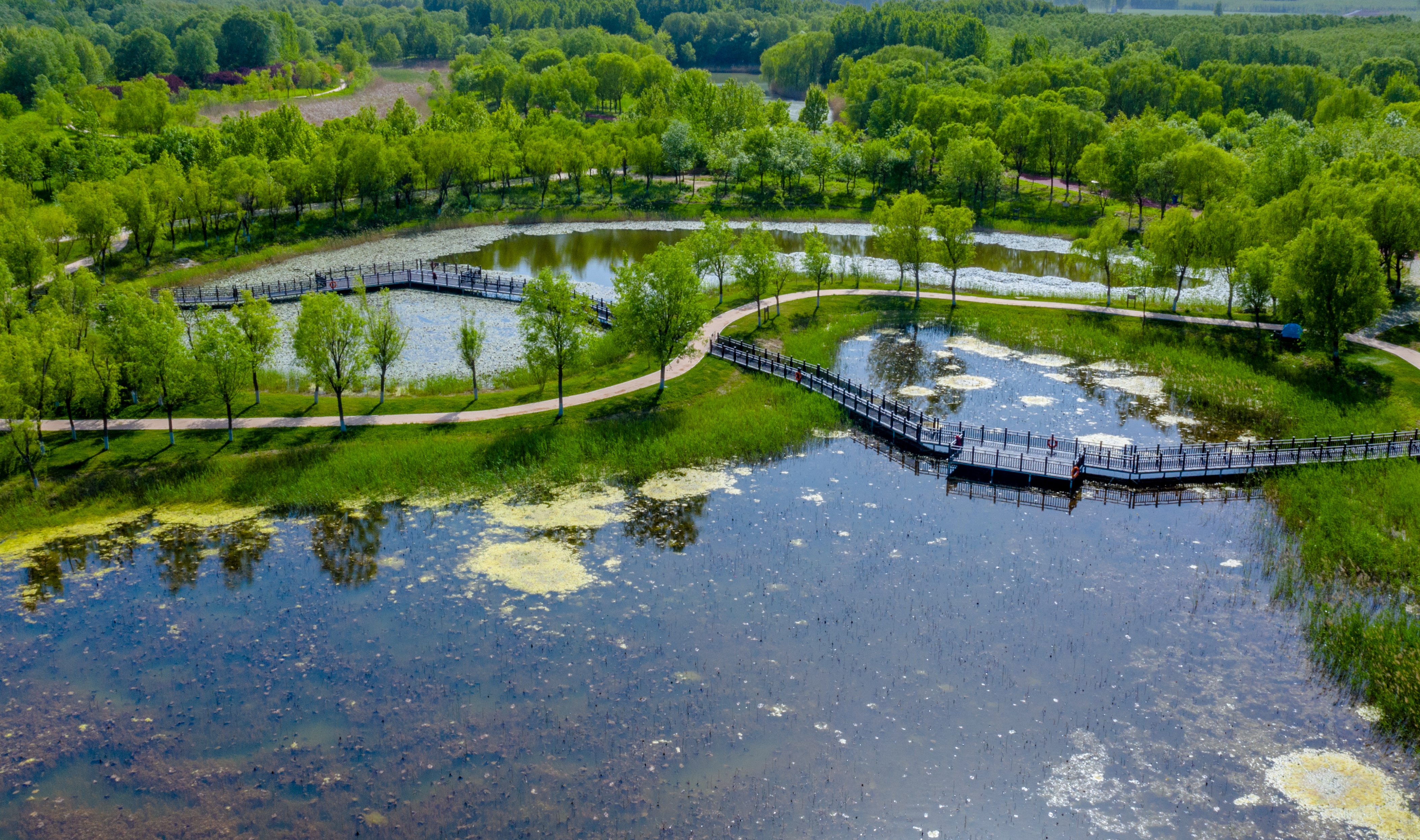 济南西部湿地公园旅游攻略,济南春游的好去处湿地公园