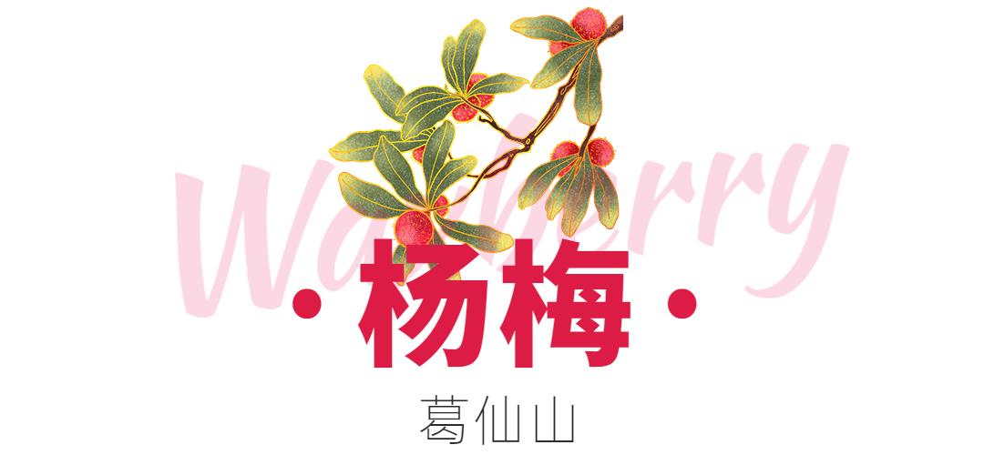 “min”甜爆汁！西瓜、蓝莓、桃子......彭州今夏水果新鲜开摘喽